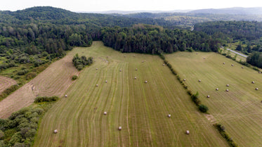 harvested farm fields