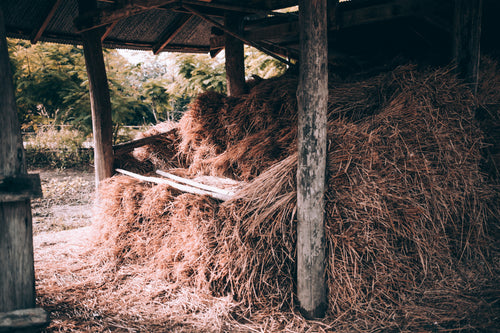 hay stack in small shack