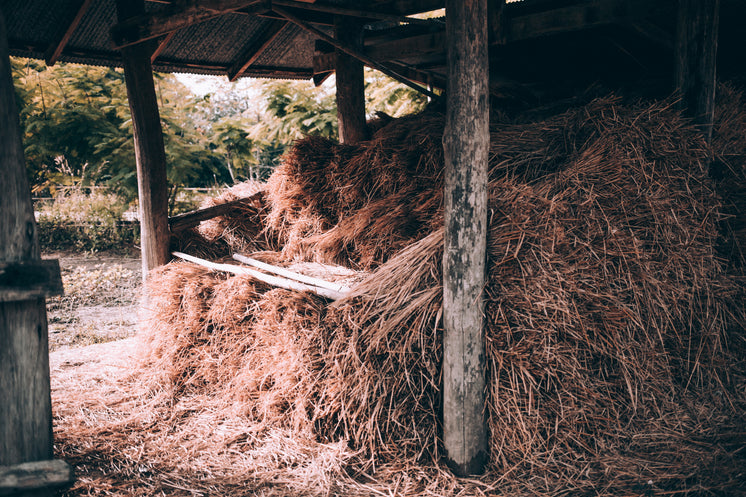 Hay Stack In Small Shack