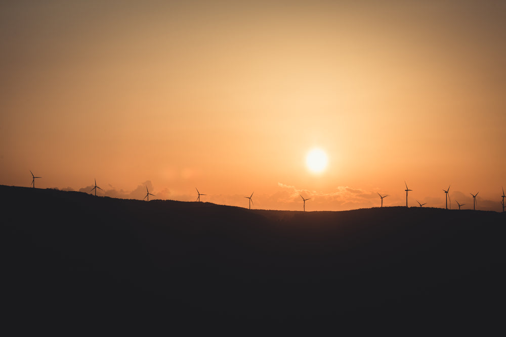 hazy sunset silhouettes landscape with windmills