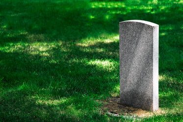 headstone in grass