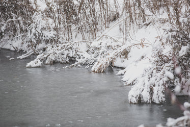 heavy snow on branches by water