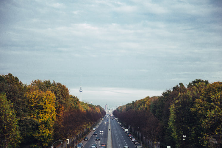 公路倒木