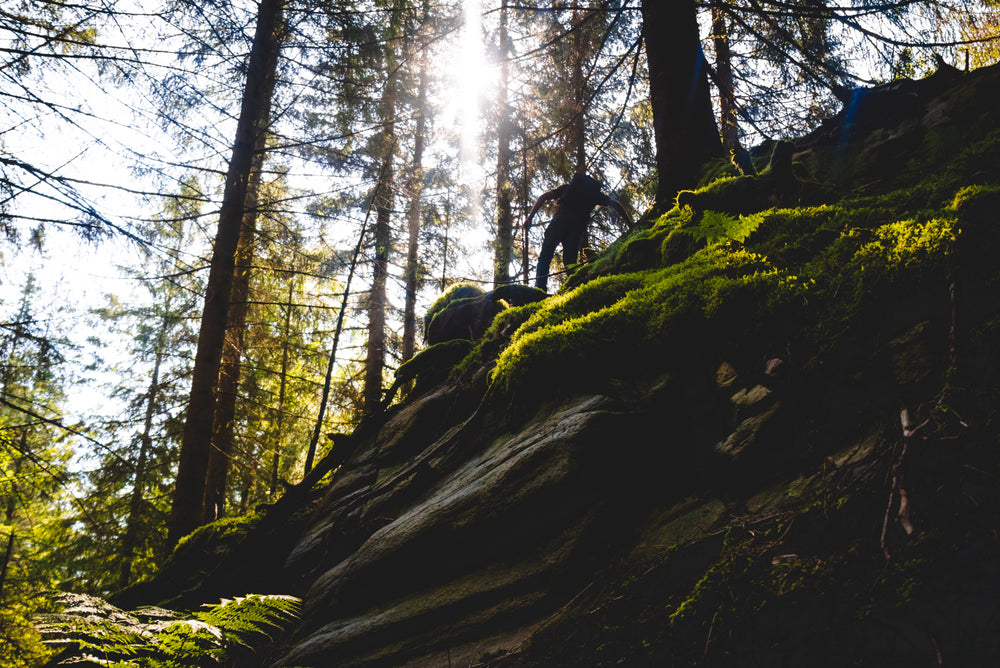 hiker braves the path less taken