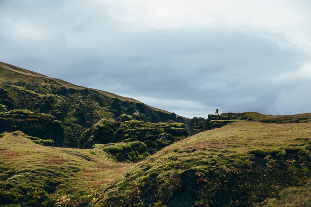 hikers on green hike