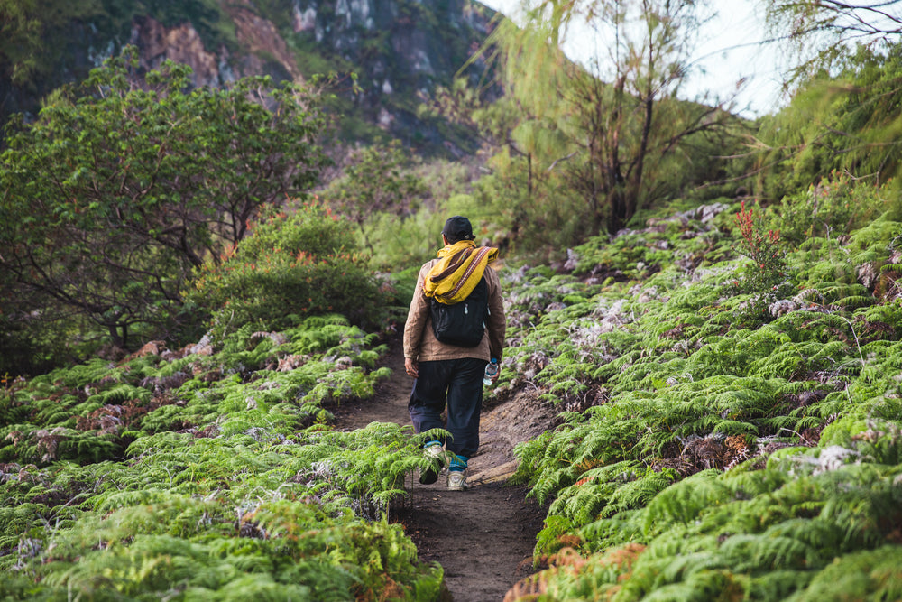 hiking the path up