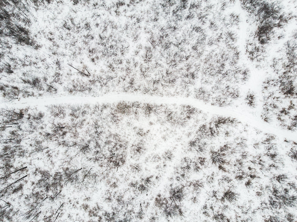 hiking trail in the snow