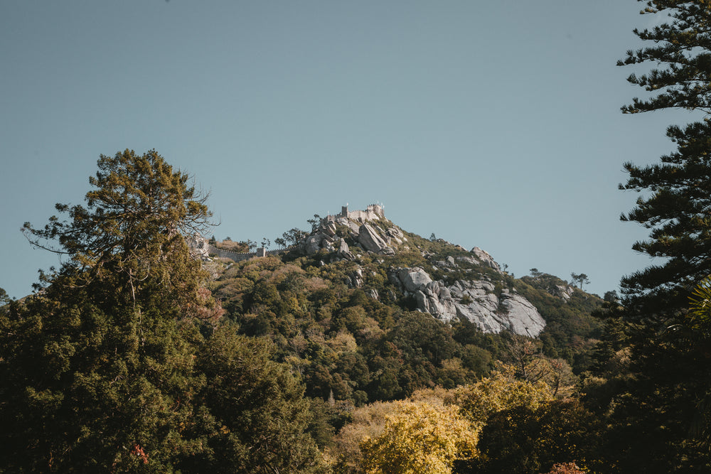 hill-top castle