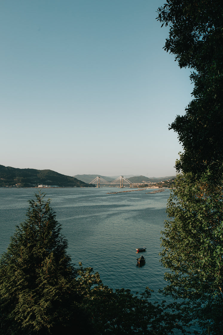 hill-top-view-of-two-boats.jpg?width=746&format=pjpg&exif=0&iptc=0