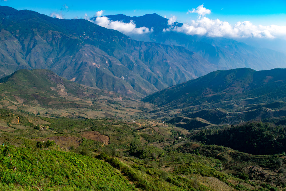 hill top view