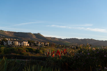 hills rolling over the horizon as the sun rises