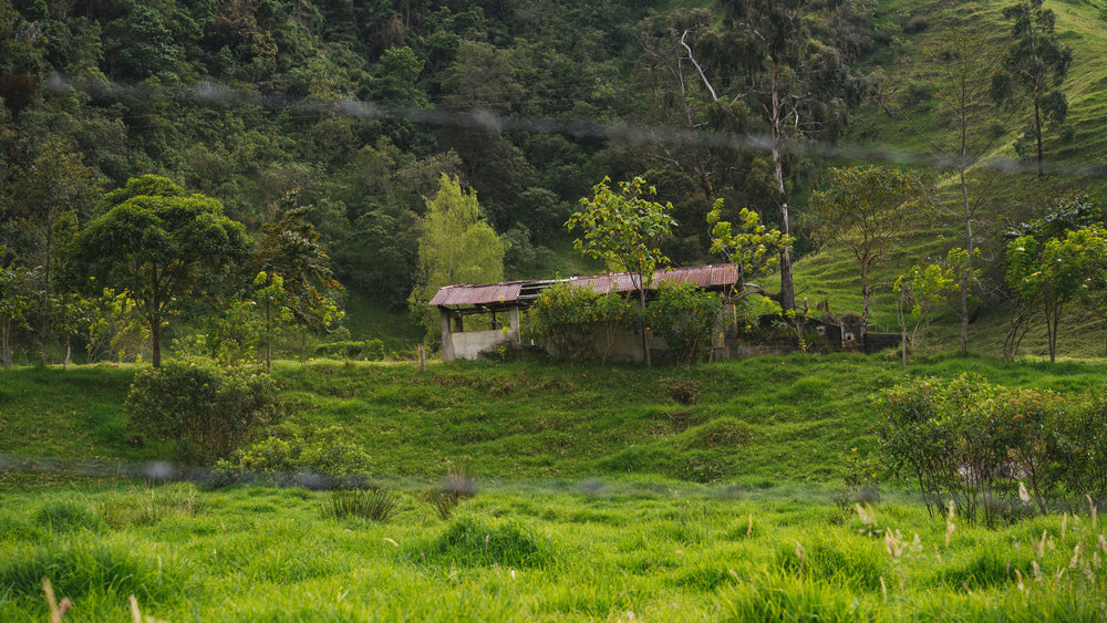 hillside shelter