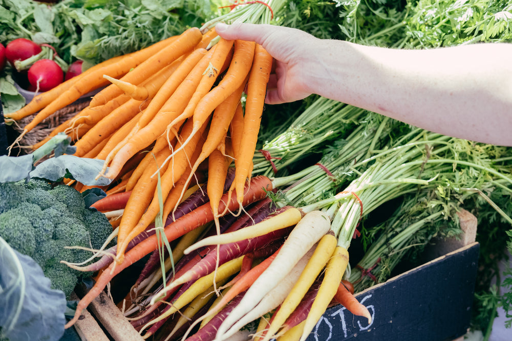 holding a bunch of carrots