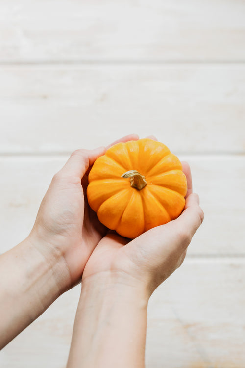 holding a pumpkin