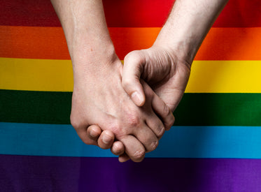 holding hands with pride flag