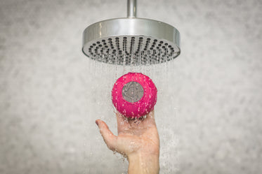 holding shower speaker