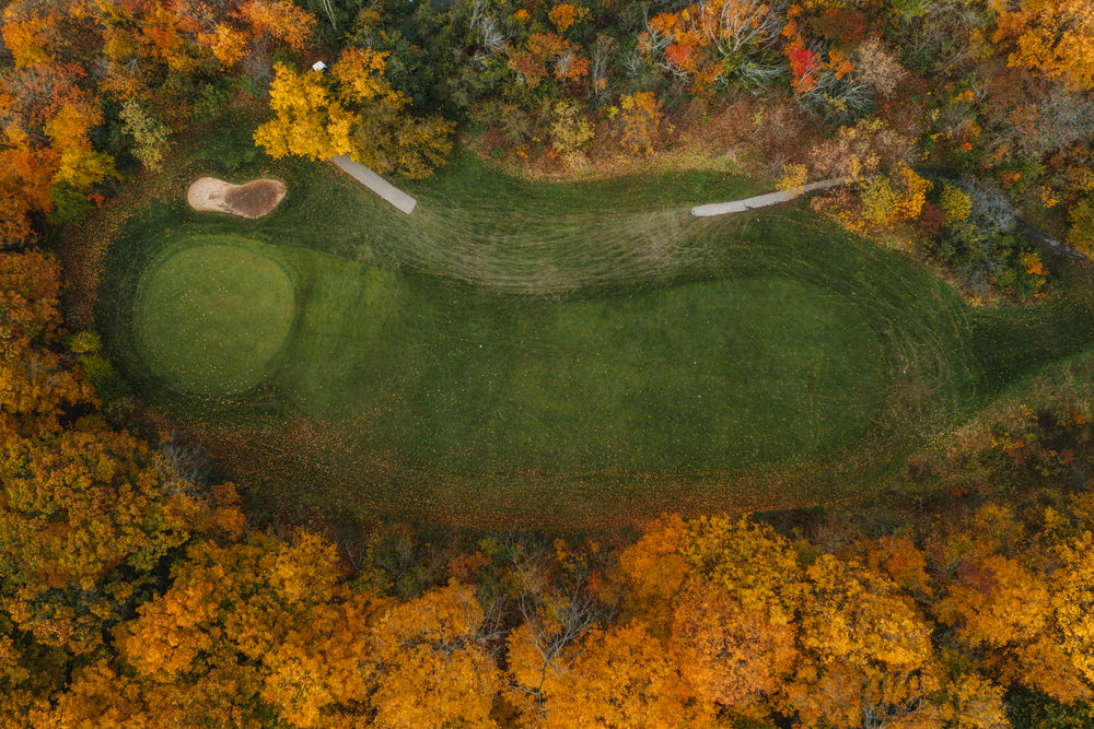 hole of golf course surrounded by yellow trees