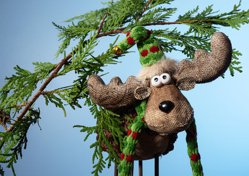 holiday burlap moose stands under cedar branch