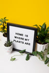 home is where my plants are