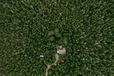 home nestled within a dense forest