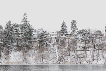 homes on snowy waterside