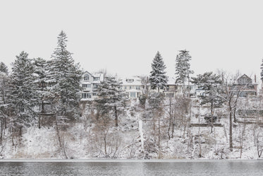 Free Homes On Snowy Waterside Image: Stunning Photography