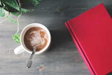 hot chocolate and a book