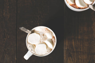 hot cocao with marshmallow