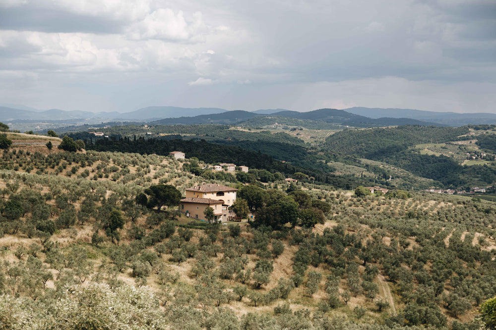 house in an italian orchard