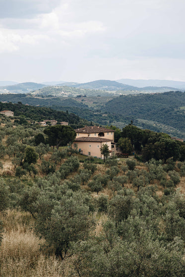 house nestled within the mountains