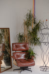 house plant hugs a red leather chair