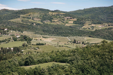 houses and vineyards scattered on hillside