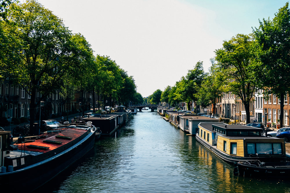 houses are floating with boats