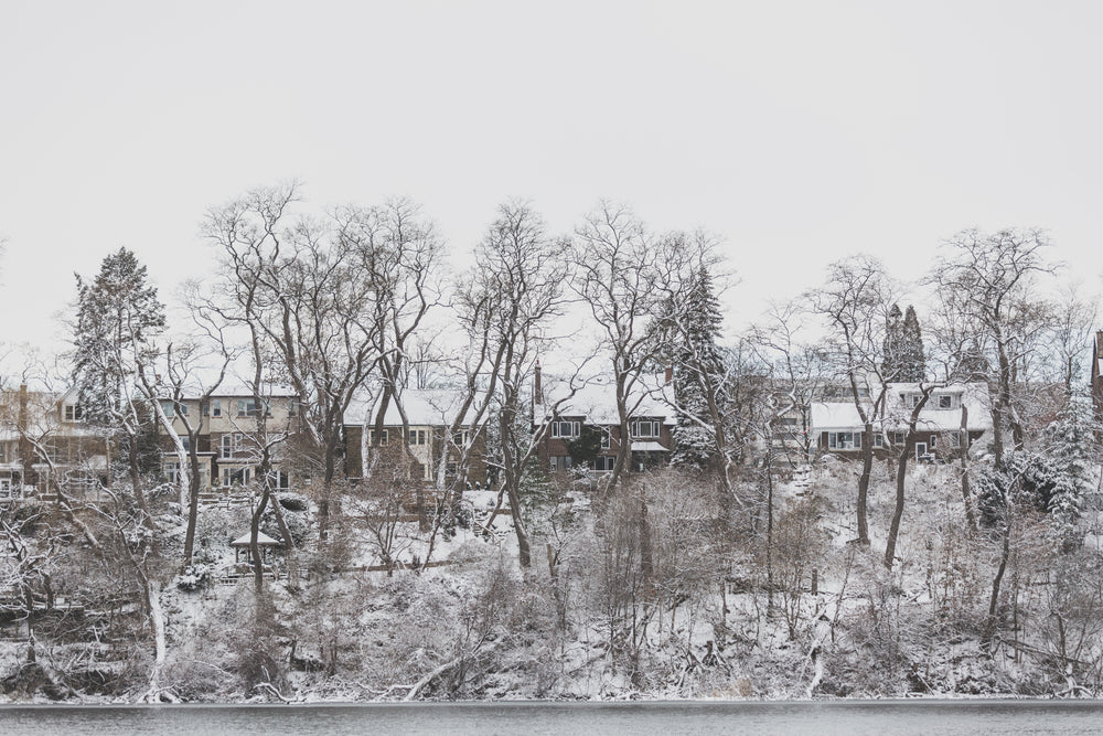 houses on snowy hill