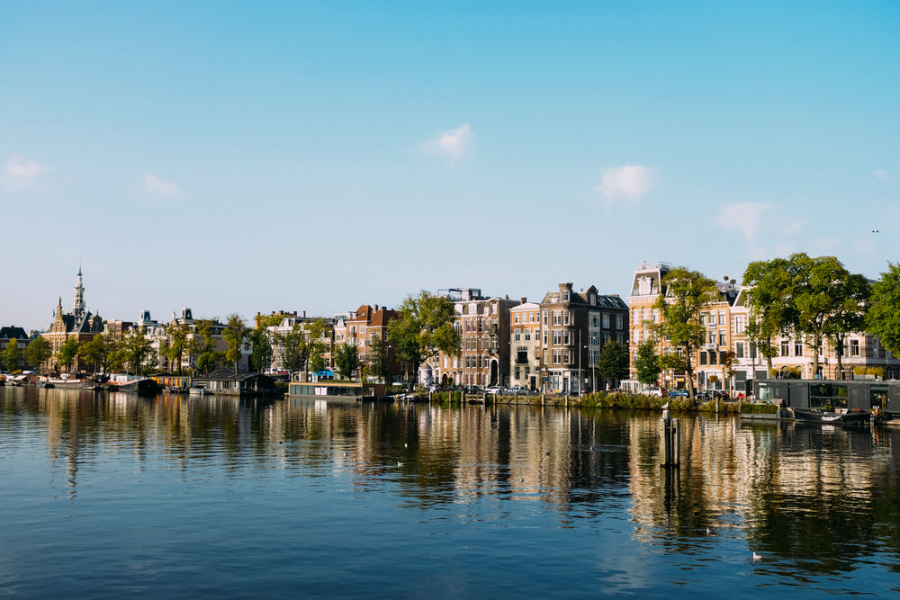 houses overlooking the waterfront