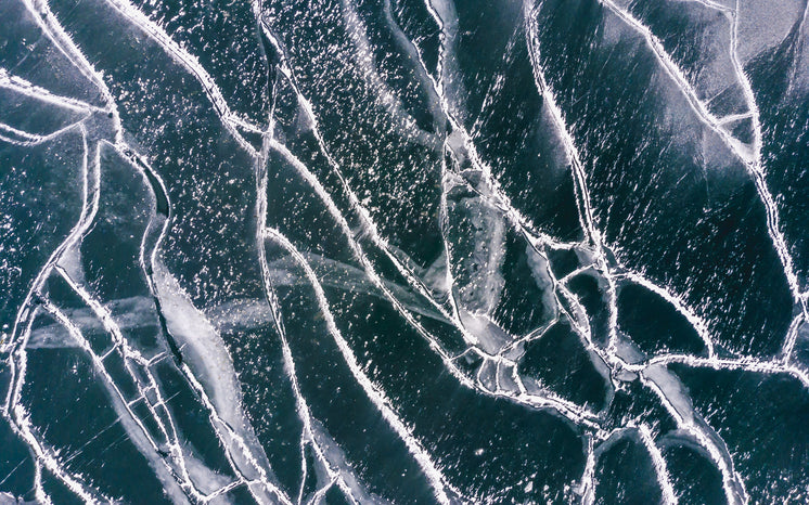 Ice Cracks On A Frozen Sea