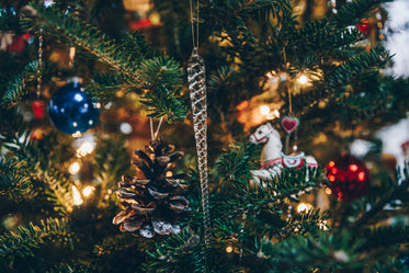 Free Icicle Ornament On Tree Photo — High Res Pictures