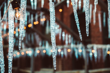 Free Stock Photo of Icicles And Twinkle Ights — HD Images