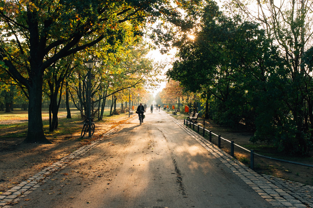 in the park