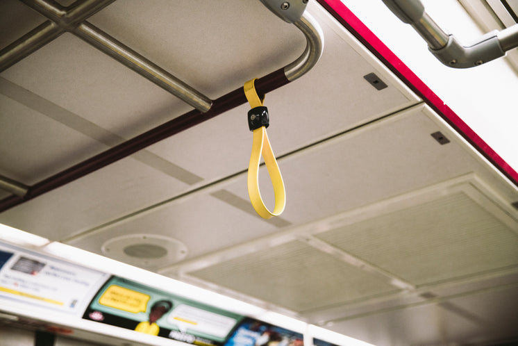 in-transit-passenger-handle.jpg?width=746&format=pjpg&exif=0&iptc=0