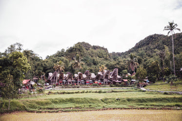 indonesian buildings nestled in the trees