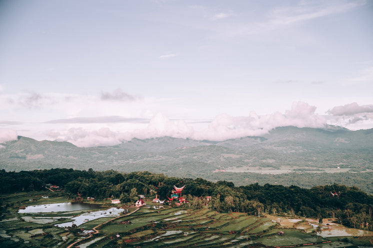 indonesian-landscape-covered-in-rice-paddies-and-temple.jpg?width=746&amp;format=pjpg&amp;exif=0&amp;iptc=0