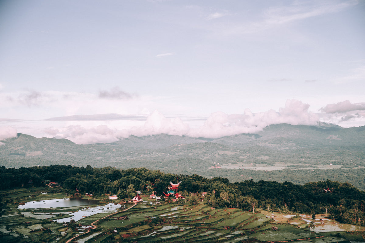 indonesian landscape covered in rice paddies and temple