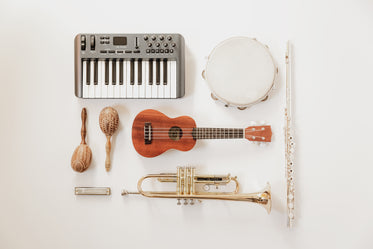 instrument flatlay