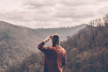 Picture of Into The Wild - Free Stock Photo