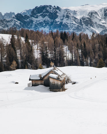 isolated wood cabin in snow