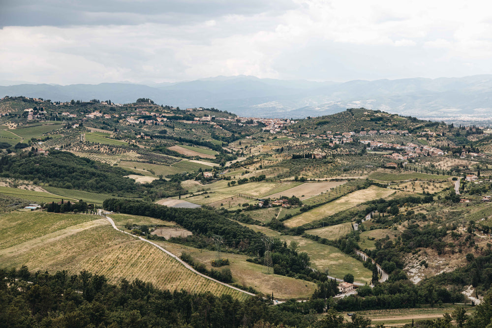 italian landscape in all shades of green