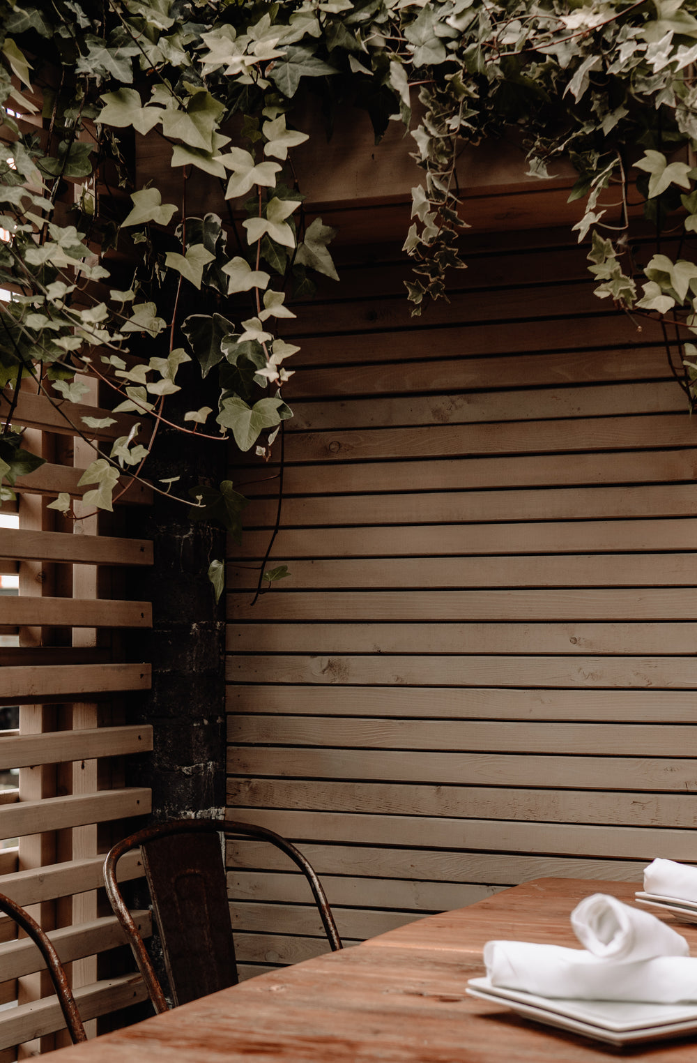 ivy hanging over table