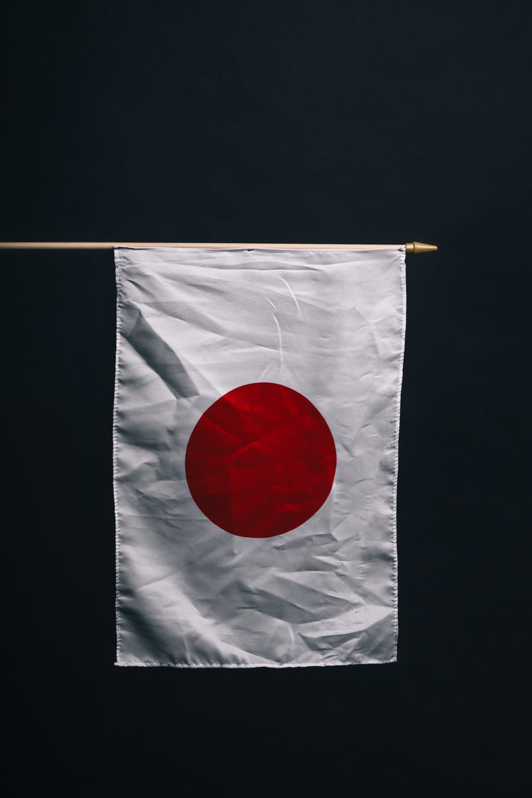 japanese-flag-against-black.jpg?width=746&format=pjpg&exif=0&iptc=0