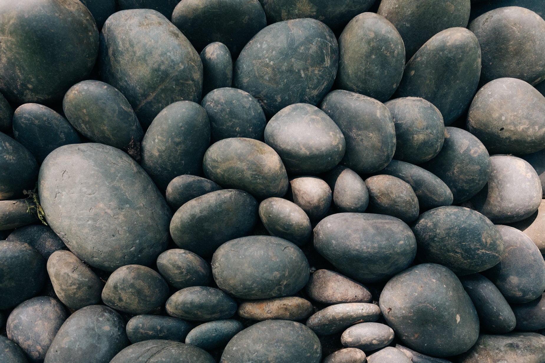 Browse Free HD Images of Japanese Garden Rock Texture